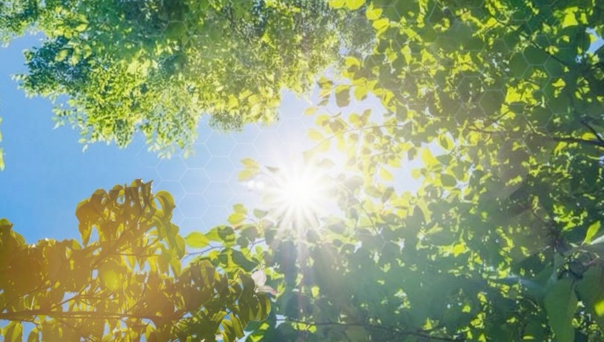 近赤外線カット