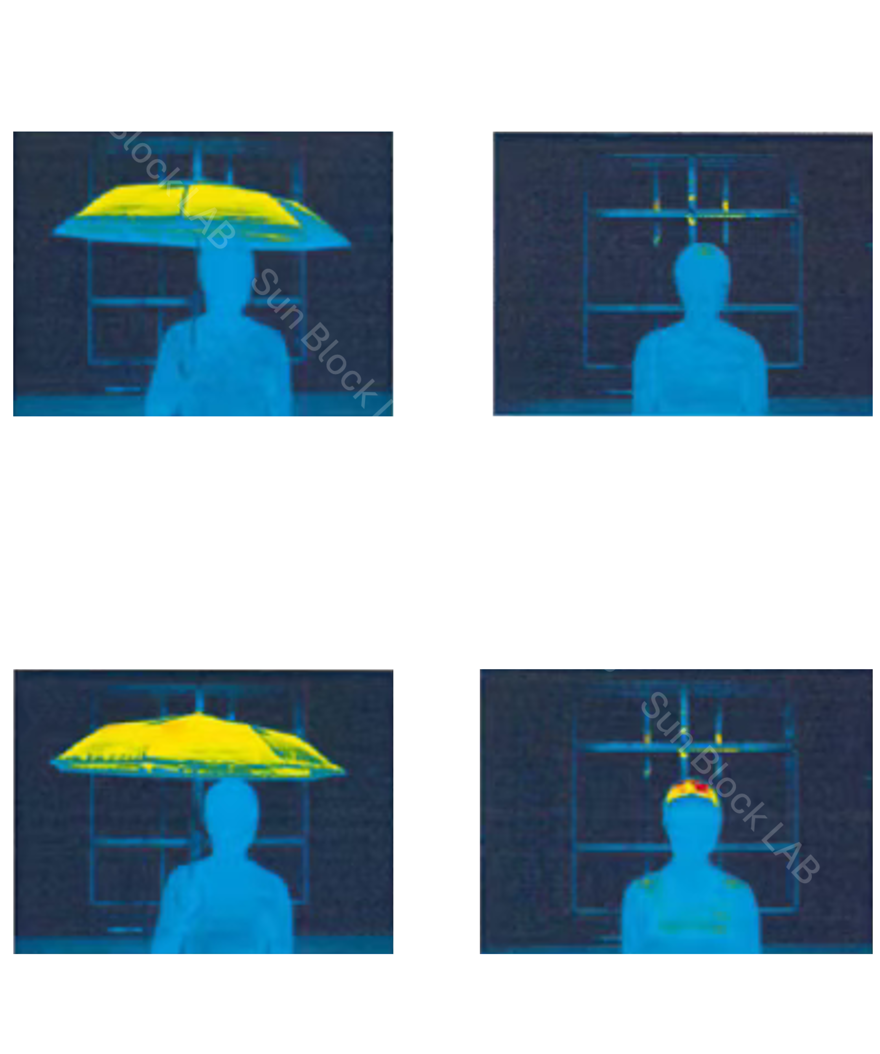 Comparison Verification